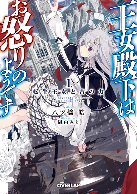 Her Royal Highness Seems to Be Angry, Vol. 13