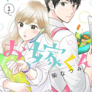 Mr. Bride - Complete Manga Collection (Vol. 1-11)