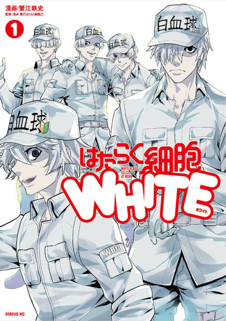 Cells at Work! White Brigade, Vol. 13