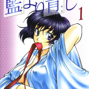 Ai yori Aoshi - Complete Manga Collection (Vol. 1-17)