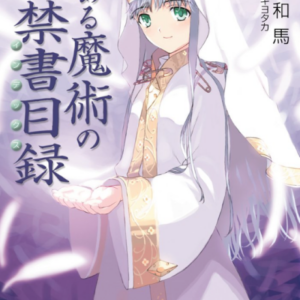 A Certain Magical Index - Complete Manga Collection (Vol. 1-28)