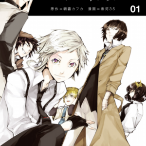 Bungo Stray Dogs - Complete Manga Collection (Vol. 1-21)