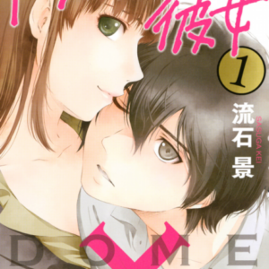 Domestic Girlfriend - Complete Manga Collection (Vol. 1-28)