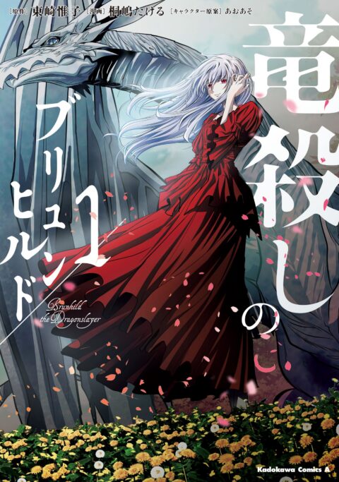 Brunhild the Dragonslayer, Vol. 1