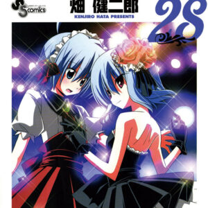 Hayate the Combat Butler, Vol. 28