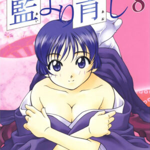 Ai yori Aoshi, Vol. 8