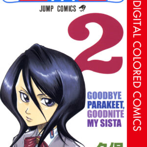 Bleach, Vol. 2