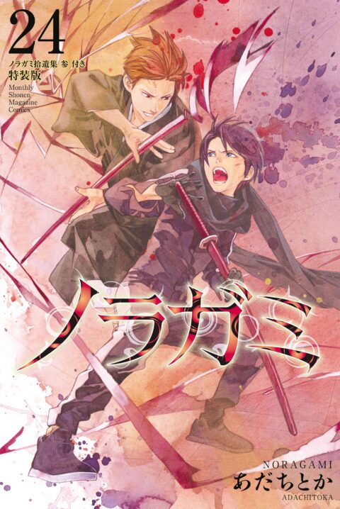 Noragami – Stray God, Vol. 24