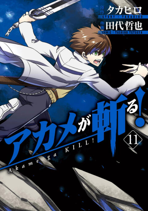 Akame ga KILL!, Vol. 11
