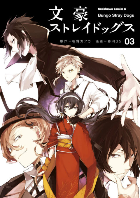 Bungo Stray Dogs, Vol. 3