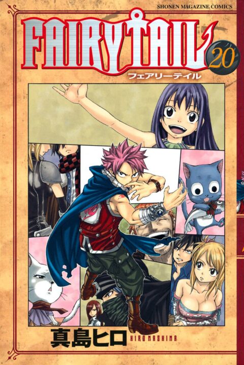 Fairy Tail, Vol. 20