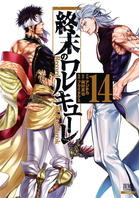 Record of Ragnarok, Vol. 14
