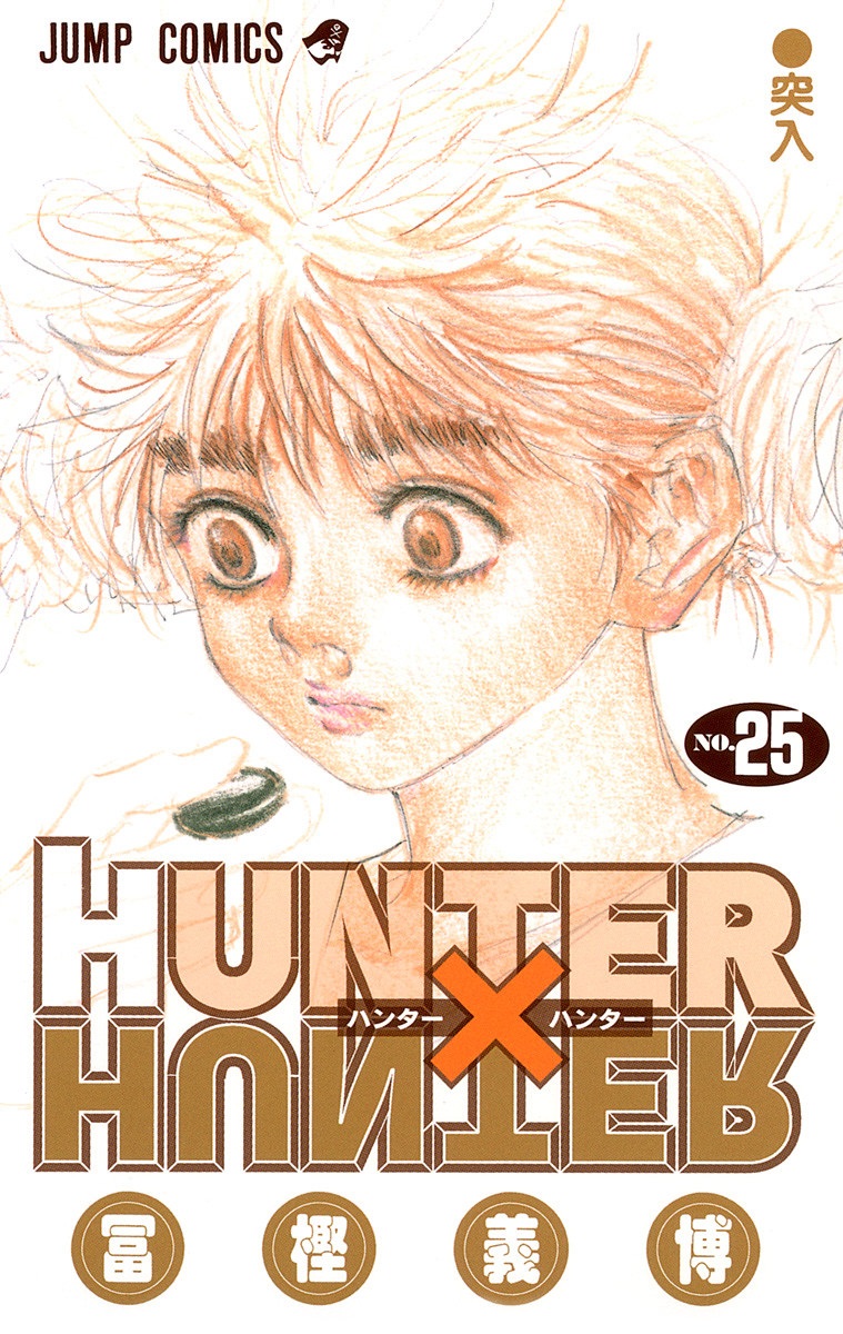 Hunter x Hunter, Vol. 25