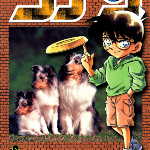 Case Closed, Vol. 29