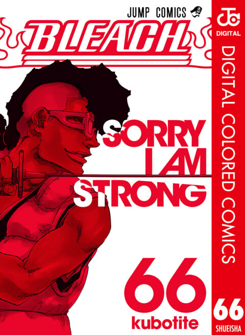 Bleach, Vol. 66