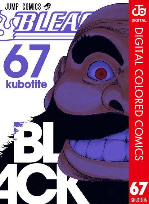 Bleach, Vol. 67