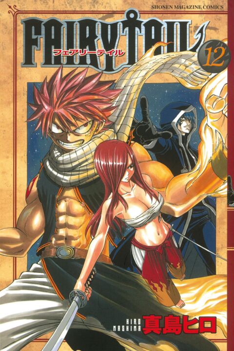 Fairy Tail: 100 Years Quest, Vol. 12