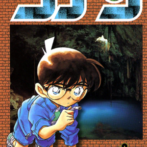 Case Closed, Vol. 25