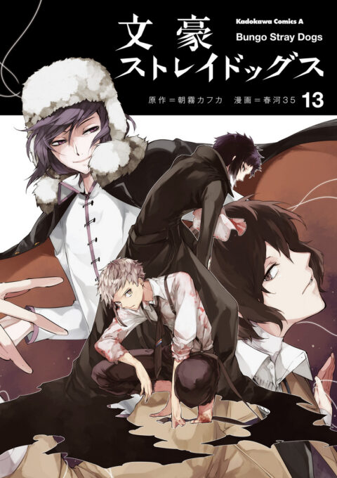 Bungo Stray Dogs, Vol. 13