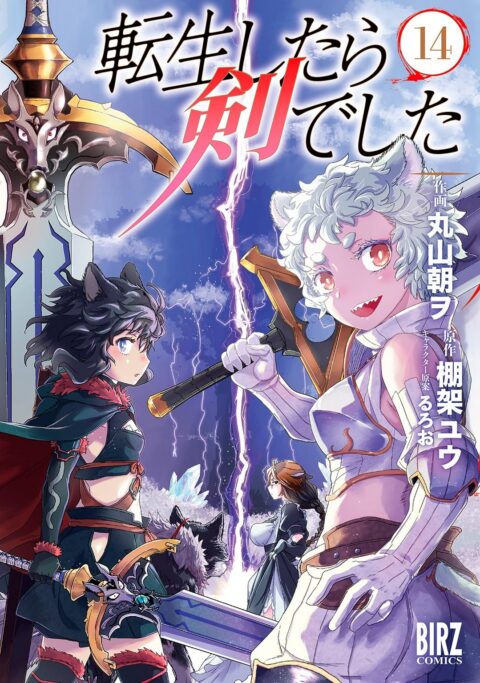 Reincarnated as a Sword, Vol. 14
