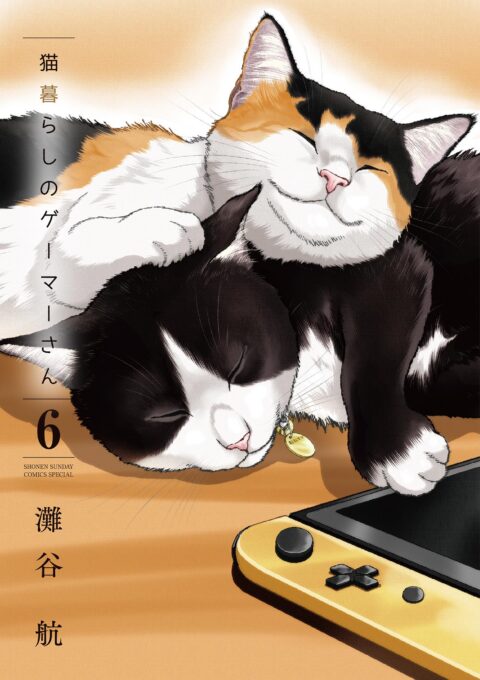 Cat + Gamer, Vol. 6