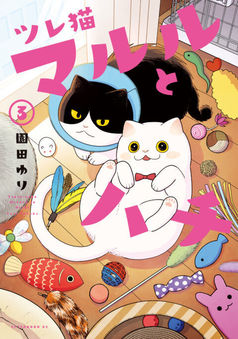 Cat Companions Maruru and Hachi, Vol. 3