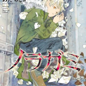 Noragami – Stray God, Vol. 25