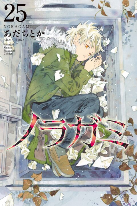 Noragami – Stray God, Vol. 25