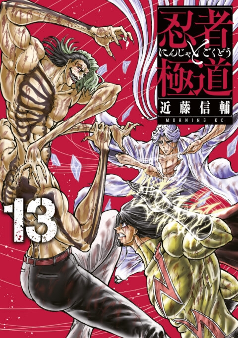 Ninja Vs. Gokudo, Vol. 13