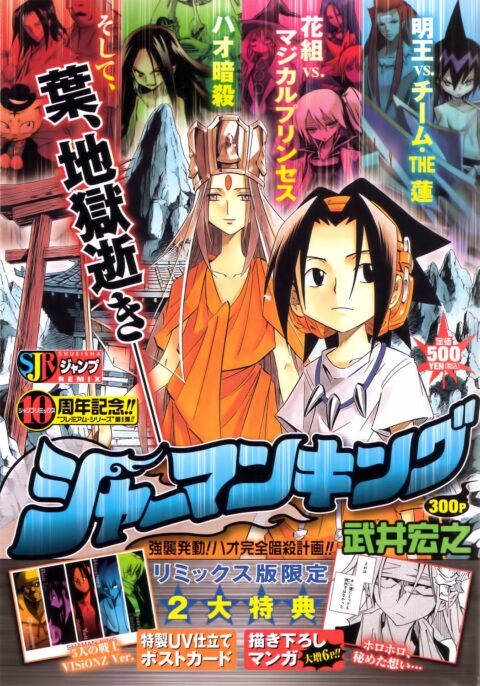 Shaman King, Vol. 12
