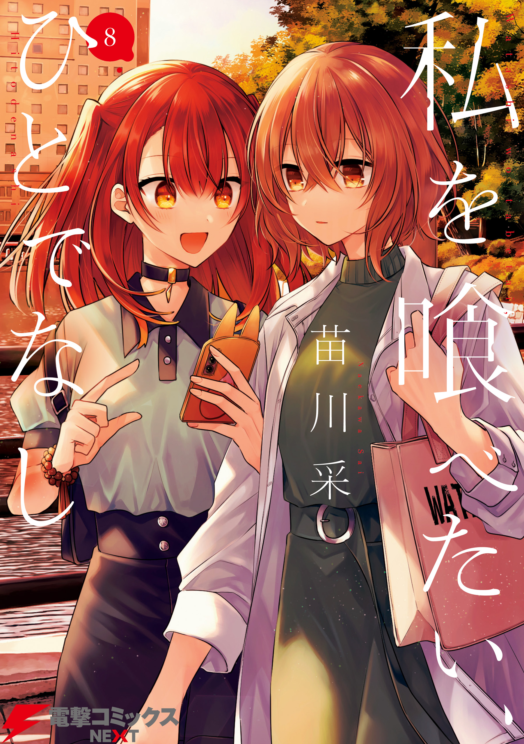 Monster: The Perfect Edition, Vol. 8