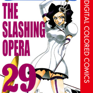 Bleach, Vol. 29