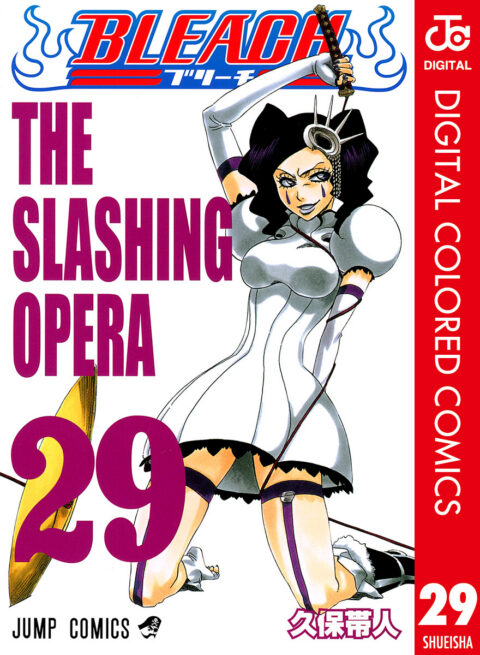 Bleach, Vol. 29