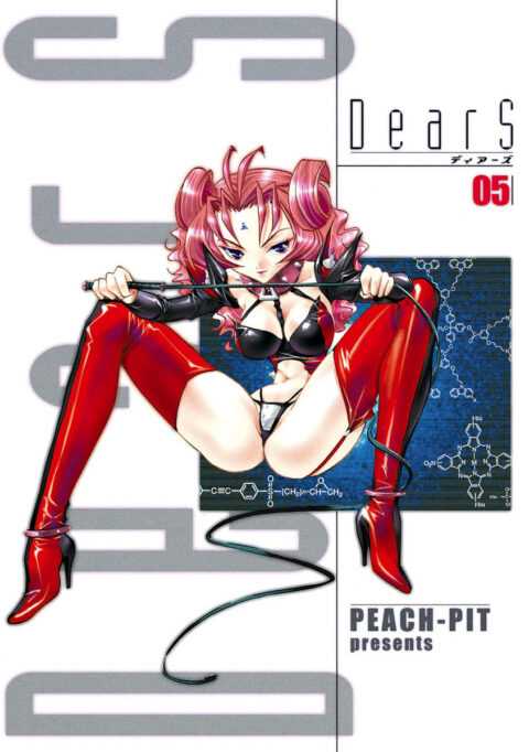 DearS, Vol. 5