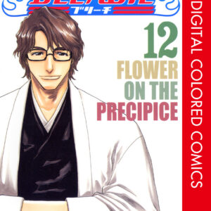 Bleach, Vol. 12