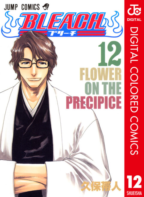 Bleach, Vol. 12