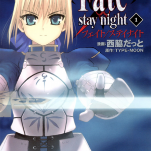 Fate／Stay Night - Complete Manga Collection (Vol. 1-11)