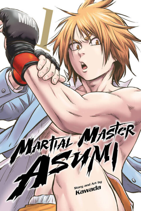 Martial Master Asumi, Vol. 1