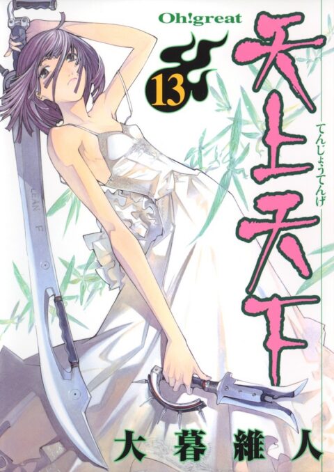 Tenjo Tenge, Vol. 13